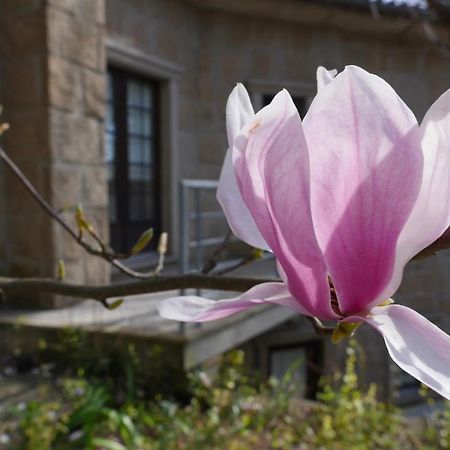 Alvores Do Tempo - Quinta De Turismo Rural Pension Castro Daire Buitenkant foto