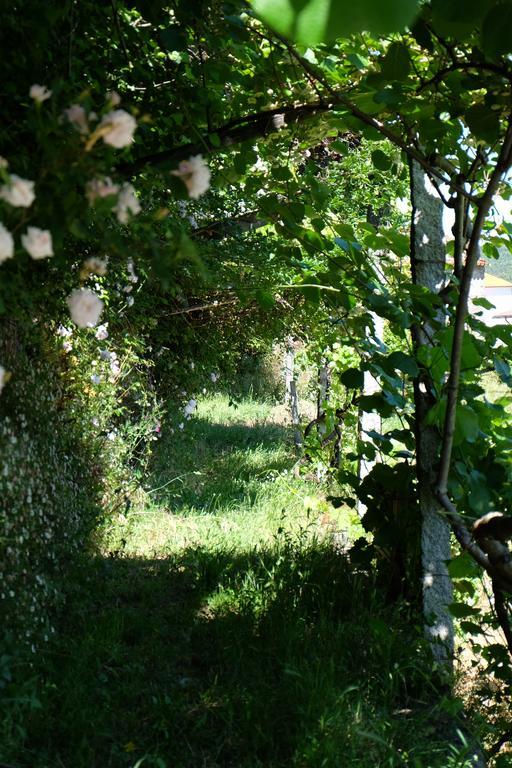 Alvores Do Tempo - Quinta De Turismo Rural Pension Castro Daire Buitenkant foto