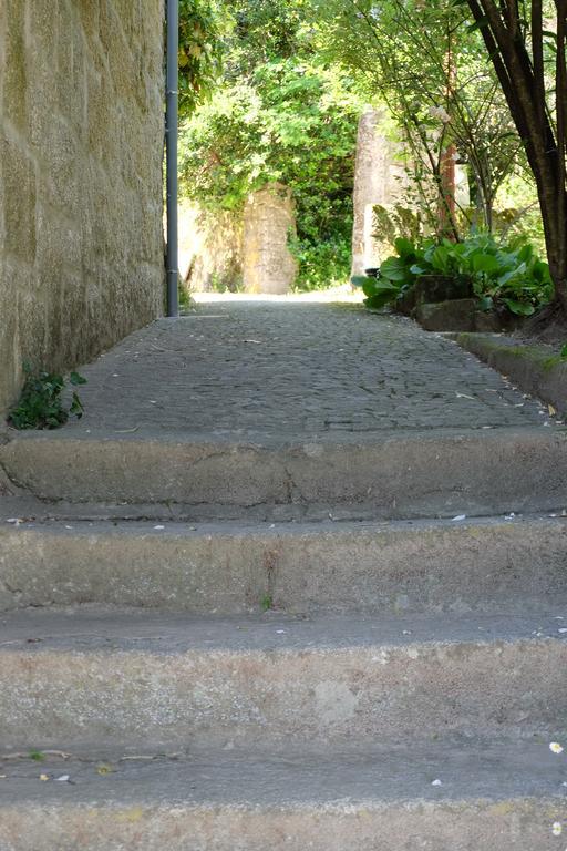 Alvores Do Tempo - Quinta De Turismo Rural Pension Castro Daire Buitenkant foto