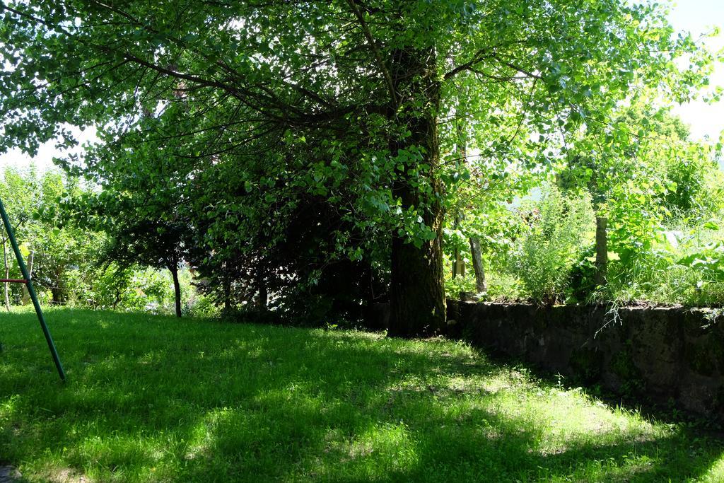 Alvores Do Tempo - Quinta De Turismo Rural Pension Castro Daire Buitenkant foto