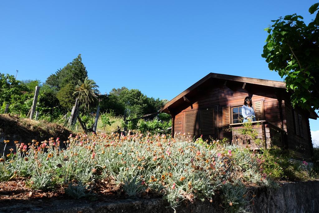 Alvores Do Tempo - Quinta De Turismo Rural Pension Castro Daire Buitenkant foto