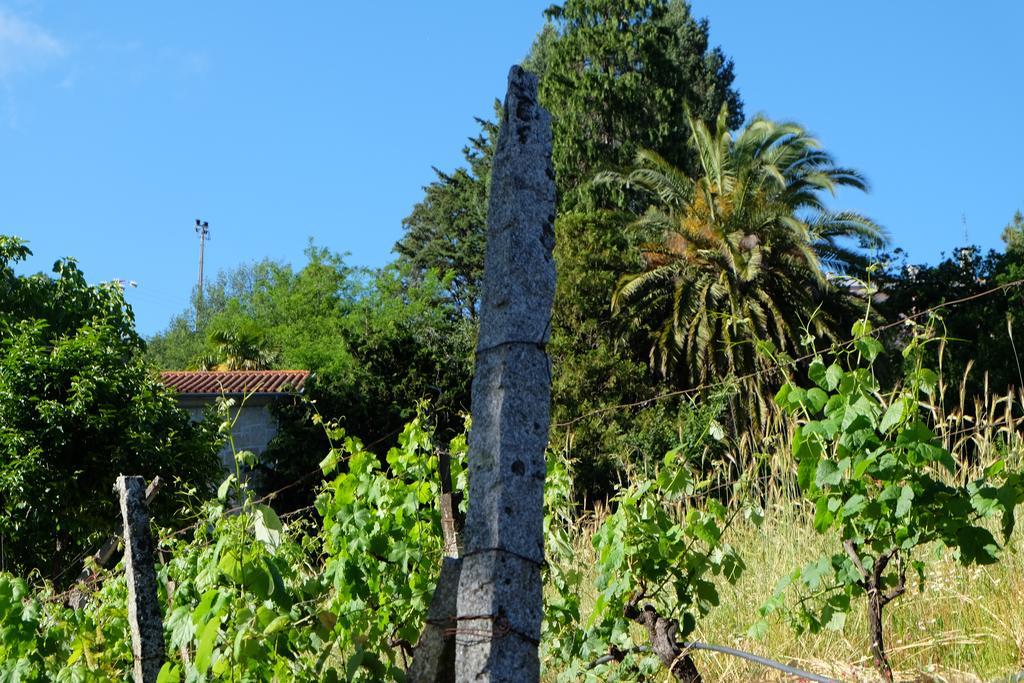 Alvores Do Tempo - Quinta De Turismo Rural Pension Castro Daire Buitenkant foto