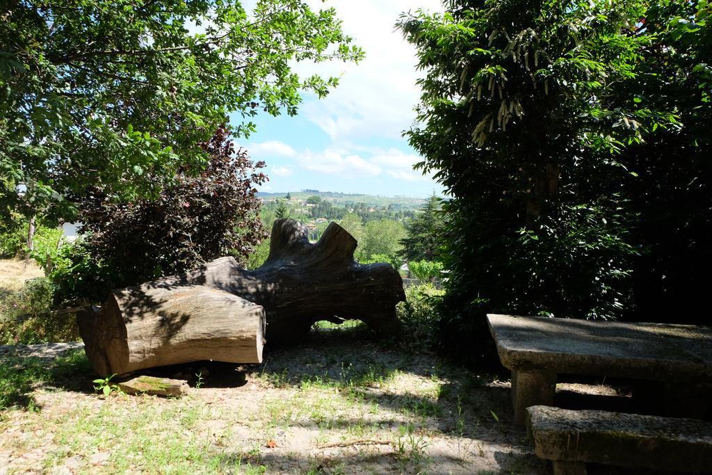 Alvores Do Tempo - Quinta De Turismo Rural Pension Castro Daire Buitenkant foto