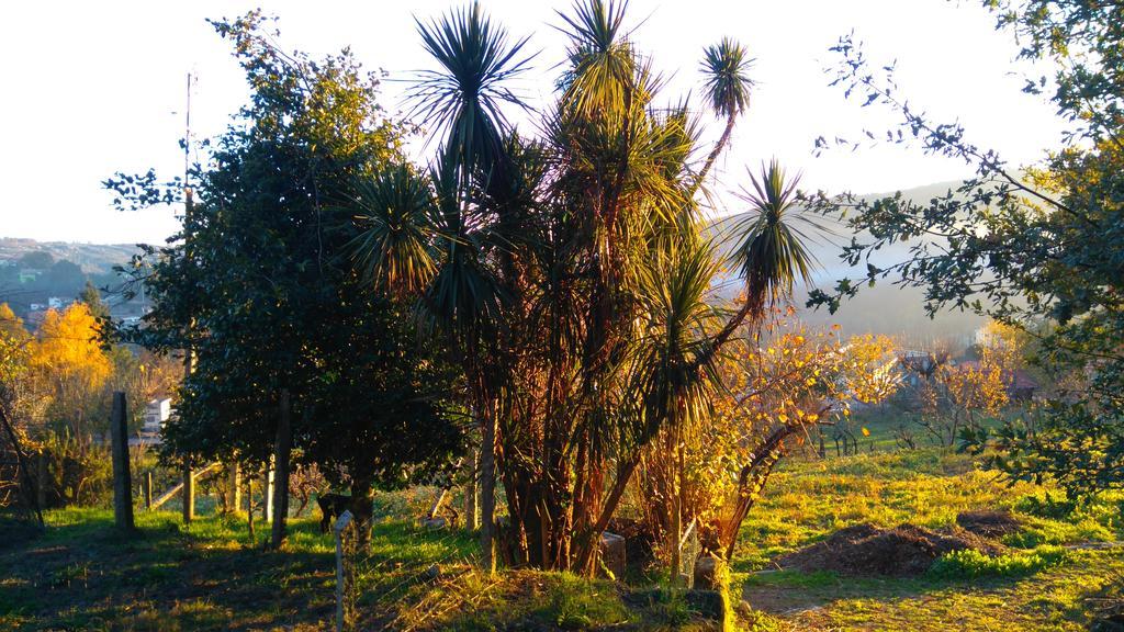 Alvores Do Tempo - Quinta De Turismo Rural Pension Castro Daire Buitenkant foto