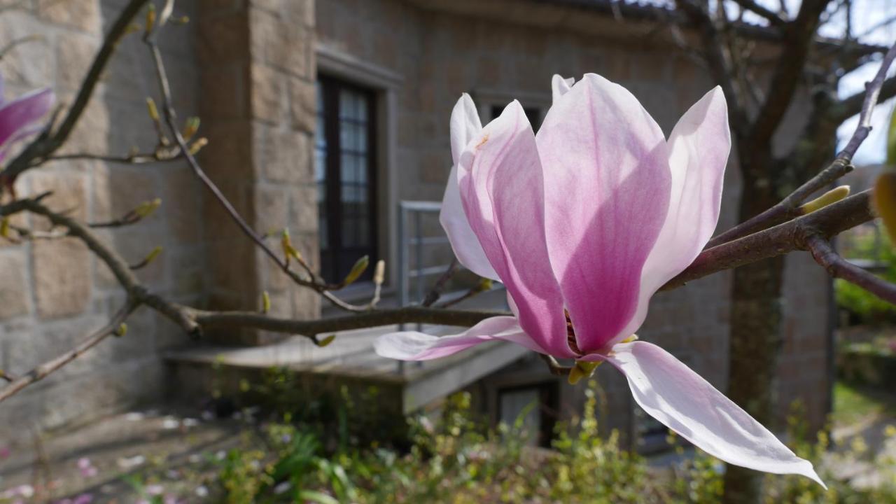 Alvores Do Tempo - Quinta De Turismo Rural Pension Castro Daire Buitenkant foto