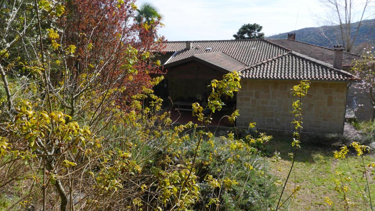 Alvores Do Tempo - Quinta De Turismo Rural Pension Castro Daire Buitenkant foto